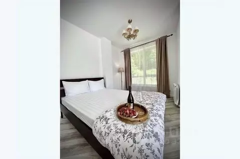 1-к кв. Краснодарский край, Сочи ул. Удачи, 14 (35.0 м)