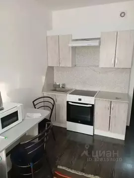 Студия Санкт-Петербург просп. Ветеранов, 185к2 (24.0 м)