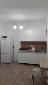 Студия Санкт-Петербург ул. Чарушинская, 24к1 (22.5 м)