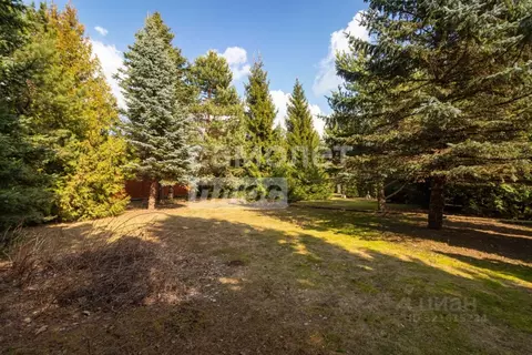 Участок в Москва № 28 кв-л,  (20.0 сот.)