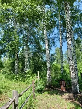 Участок в Кемеровская область, Новокузнецкий муниципальный округ, пос. ...