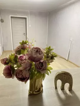 Комната Санкт-Петербург Светлановский просп., 60К2 (12.3 м)