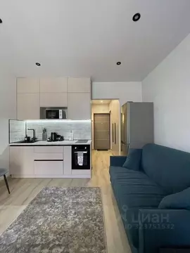 Студия Краснодарский край, Сочи ул. Искры, 88 (27.0 м)