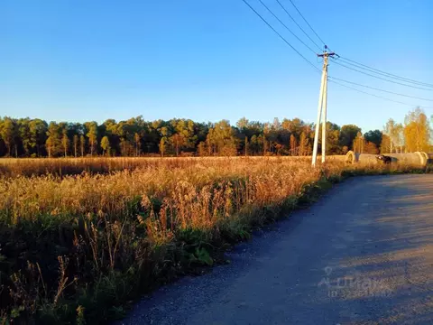 Участок в Московская область, Истра муниципальный округ, д. Загорье, ...