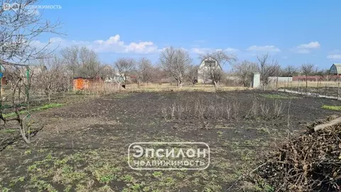 Участок в Курский район, Новопоселеновский сельсовет, СНТ Ягодка (10 ...