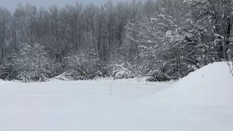 Участок в Московская область, Истра муниципальный округ, д. Рыбушки  ...