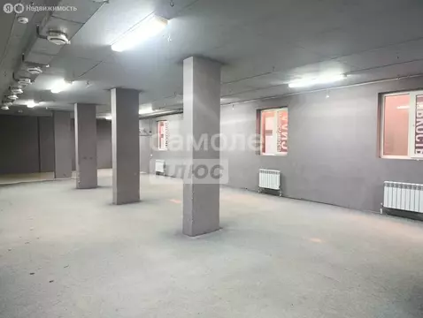 Помещение свободного назначения (250 м)