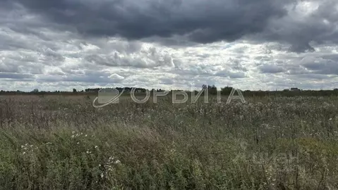 Участок в Тюменская область, Тюменский муниципальный округ, с. ...