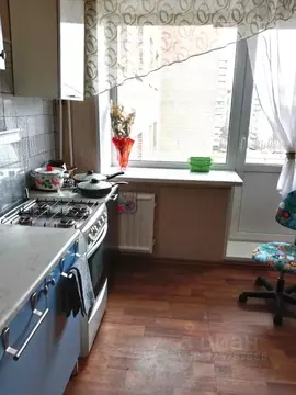 Комната Санкт-Петербург ул. Димитрова, 3К2 (197.4 м)