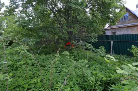 Участок в Владимирская область, Кольчугинский муниципальный округ, д. ...