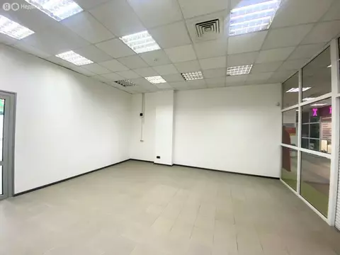 Помещение свободного назначения (19.4 м)