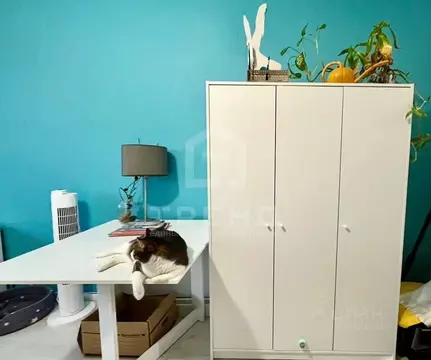 Студия Ленинградская область, Мурино Всеволожский район, Оборонная ...