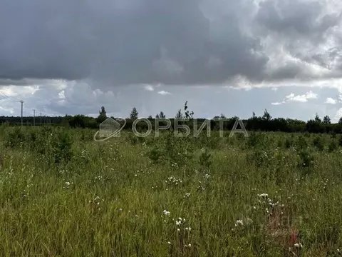 Участок в Тюменская область, Тюменский муниципальный округ, с. Кулига, ...
