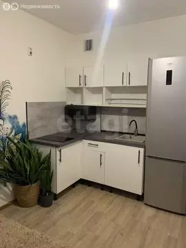 1-комнатная квартира: Санкт-Петербург, Муринская дорога, 55к1 (38 м)