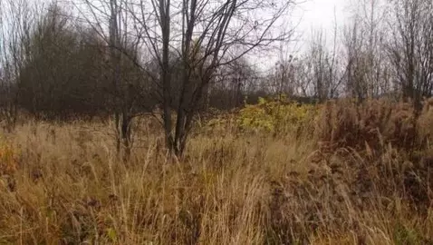 Участок в Московская область, Коломна городской округ, пос. Пески  ...