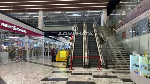 Помещение свободного назначения в Санкт-Петербург Дунайский просп., ...