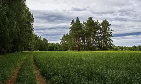 Участок в Ленинградская область, Выборгский район, Советское городское ...