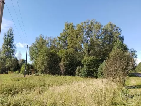 Участок в Ленинградская область, Лужский район, пос. Оредеж ул. ...