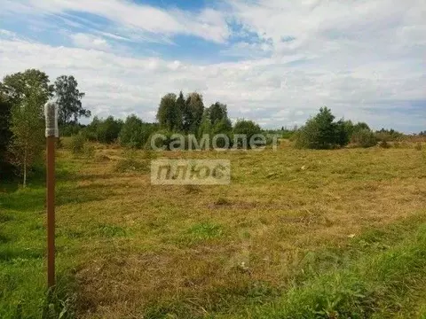 Участок в Московская область, Можайский муниципальный округ, Царские ...