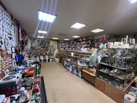 Помещение свободного назначения в Владимирская область, Владимир ...