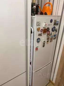 Студия Московская область, Ленинский городской округ, Лопатино пгт ...