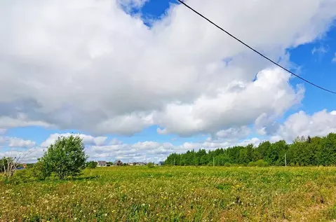 Участок в Ленинградская область, Ломоносовский район, Оржицкое с/пос, ...