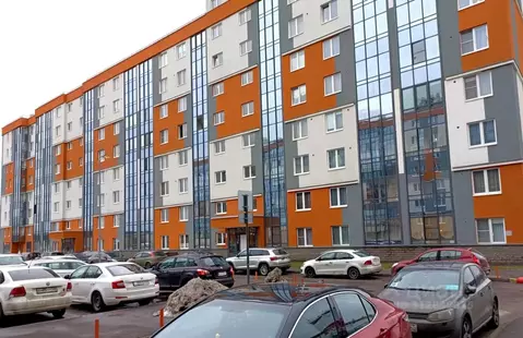 Студия Ленинградская область, Всеволожский район, Заневское городское ...