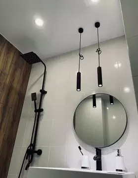 Студия Воронежская область, Воронеж ул. Независимости, 84 (26.5 м)