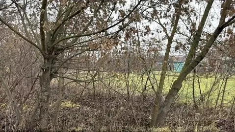 Участок в Московская область, Кашира городской округ, д. Зубово ул. 30 ...