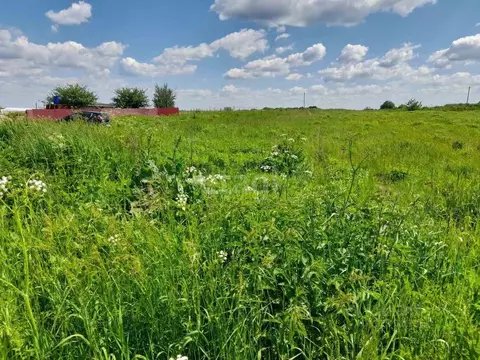 Участок в Брянская область, Брянский район, Чернетовское с/пос, д. ...