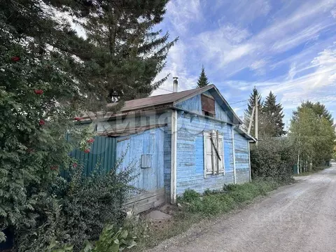 Участок в Новосибирская область, Новосибирск  (6.0 сот.)