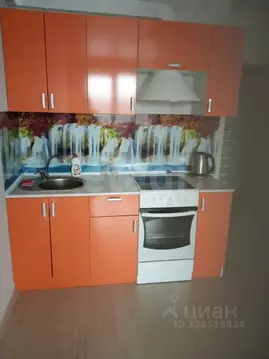 Студия Башкортостан, Уфимский район, с. Михайловка ул. Сливовая, 9 ...