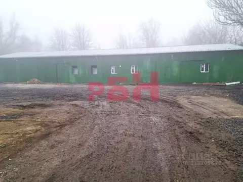 Склад в Ростовская область, Аксайский район, Рассветовское с/пос, пос. ...