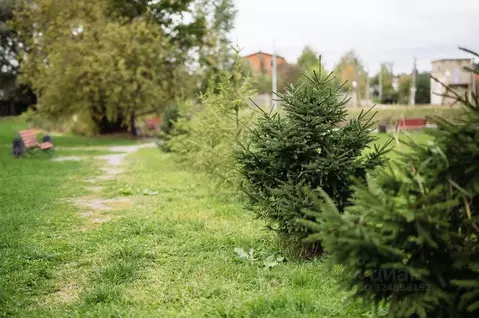 Участок в Московская область, Дмитровский муниципальный округ, Усадьбы ...