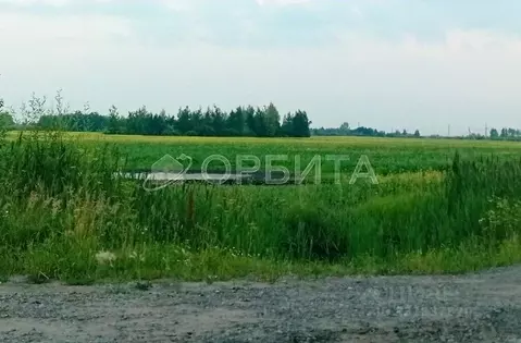 Участок в Тюменская область, Ярковский муниципальный округ, д. Щучья  ...