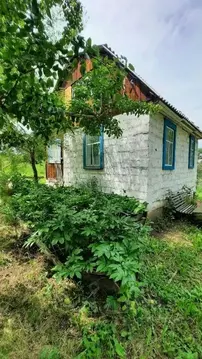 Дом в Хакасия, Саяногорск Саяногорск городской округ, Строитель СНТ, ...