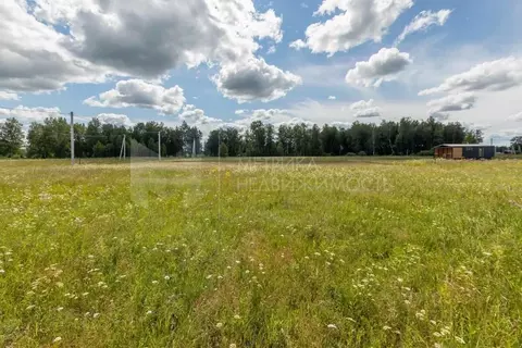 Участок в Тюменская область, Тюменский муниципальный округ, Дачи Хюгге ...