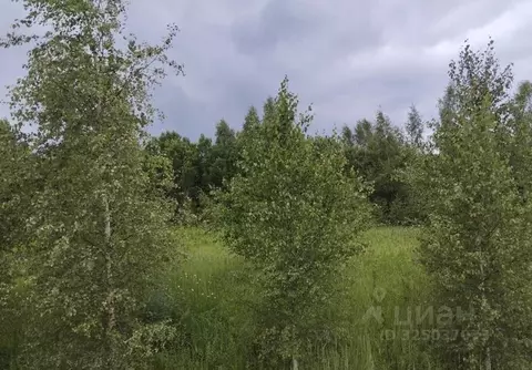 Участок в Московская область, Дмитровский муниципальный округ, д. ...