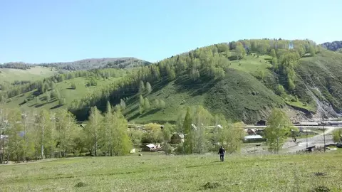 Участок в Алтай, Майминский район, с. Бирюля ул. Луговая (999.0 сот.)