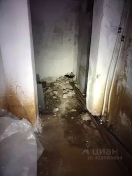 Помещение свободного назначения в Приморский край, Хасанский ...