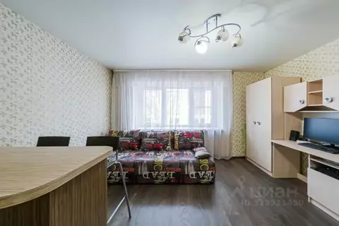 Студия Свердловская область, Екатеринбург ул. Фурманова, 60 (18.6 м)