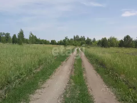 Участок в Алтайский край, Бийский район, Зверовод СДТ ул. Молодежная ...