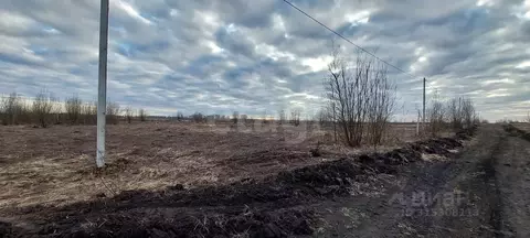 Участок в Брянская область, Брянский район, Отрадненское с/пос, с. ...