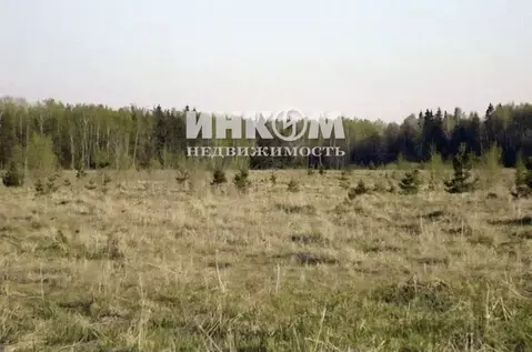 Участок в Московская область, Клин городской округ, д. Жестоки 57 ...
