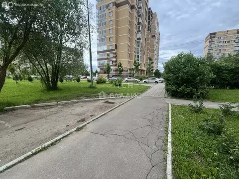 Помещение свободного назначения (64.9 м)
