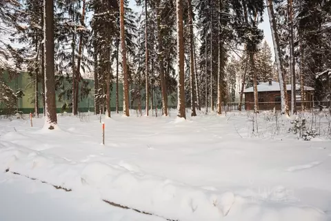 Участок в Московская область, Пушкино Чистые Пруды-3 кп,  (8.23 сот.)