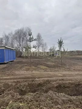 Участок в Томская область, Томский район, с. Кафтанчиково ул. ...