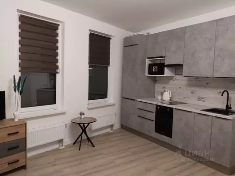 Студия Санкт-Петербург просп. Крузенштерна, 4 (26.0 м)