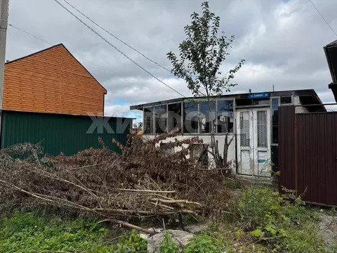 Дом в Новосибирская область, Новосибирск Светлая ул. (27 м)
