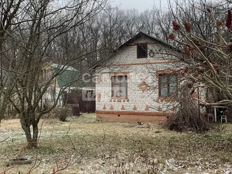 Дом в Воронежская область, Рамонский район, Айдаровское с/пос, Лесовод ...
